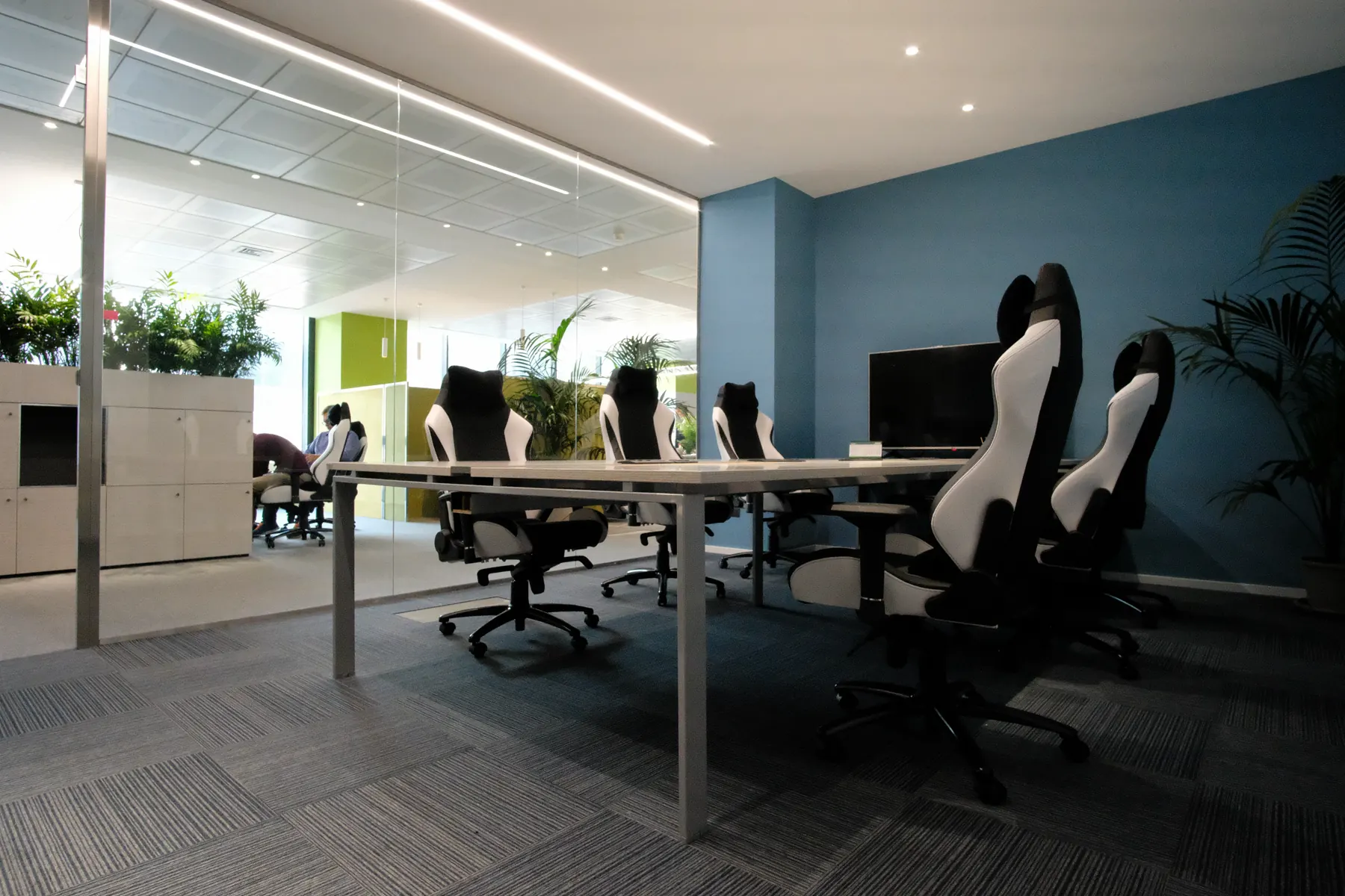 Meeting room with a white table, black and white chairs, a blue wall and plants